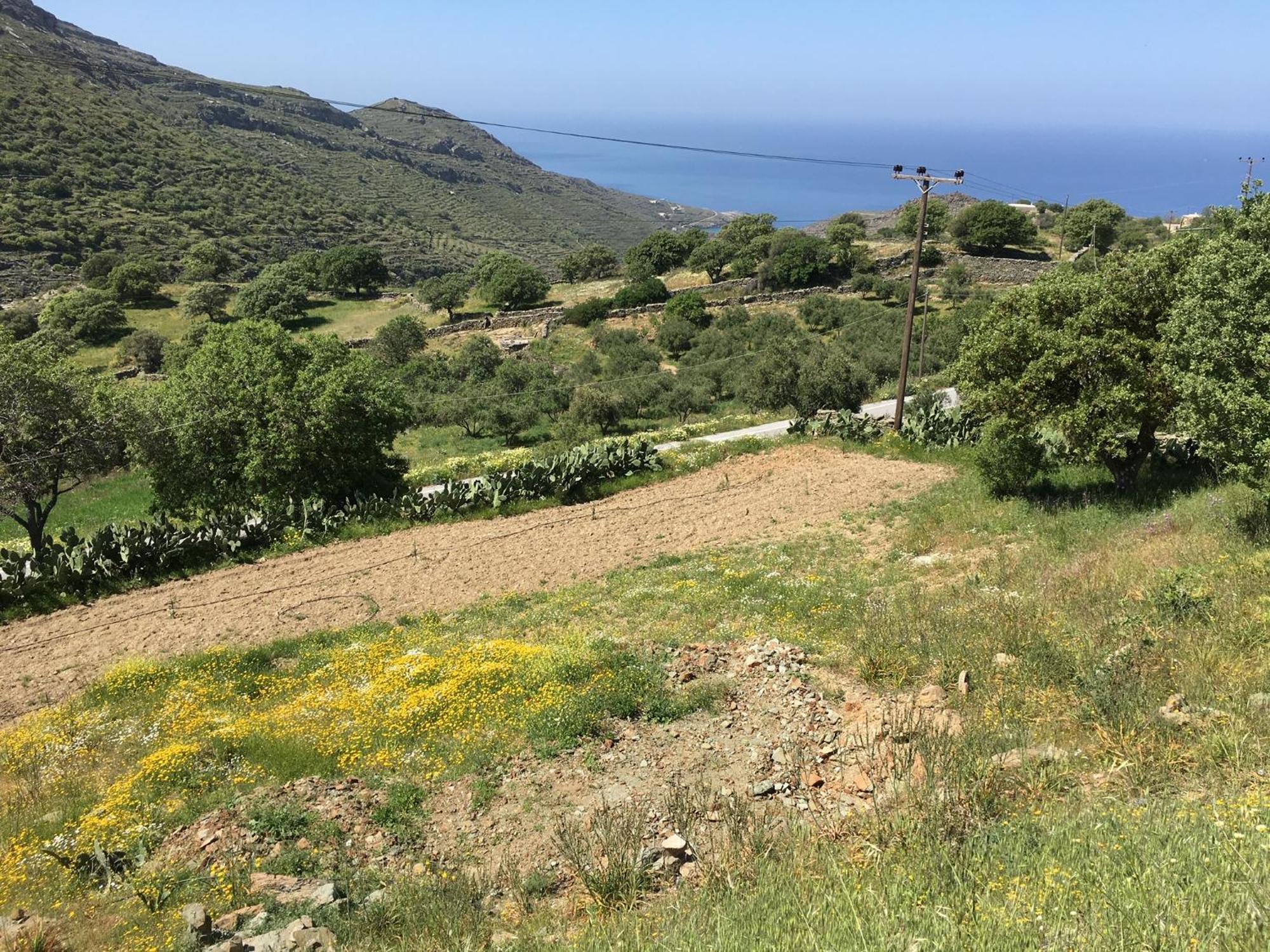 Rural Guest House B&B Chavouna Εξωτερικό φωτογραφία