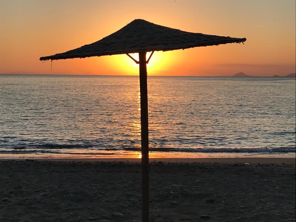 Rural Guest House B&B Chavouna Εξωτερικό φωτογραφία