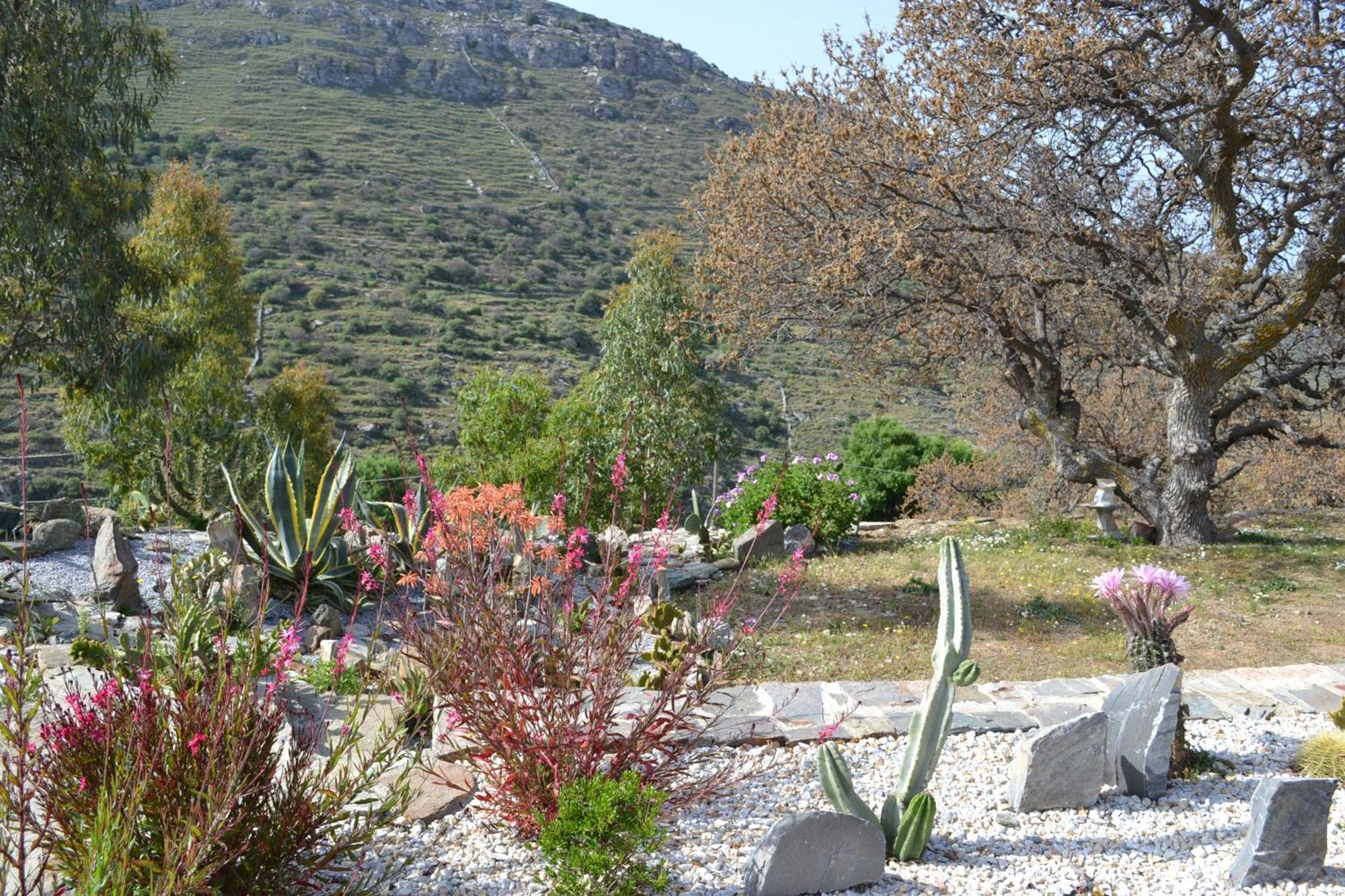 Rural Guest House B&B Chavouna Εξωτερικό φωτογραφία